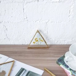 Hanging Triangle Herbarium Brass Glass Frame For Pressed Flowers Dried Flowers Poster -Ncyp Garden Store 20190905008 8 b65c27a7 2753 4eb9 ba9f d5c858f789a3