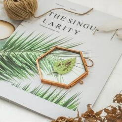 Hanging Small Pink Hexagon Herbarium Copper Glass Frame For Pressed Flowers Dried Flowers -Ncyp Garden Store 20190905012 3