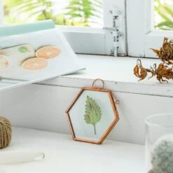 Hanging Small Pink Hexagon Herbarium Copper Glass Frame For Pressed Flowers Dried Flowers -Ncyp Garden Store 20190905012 5