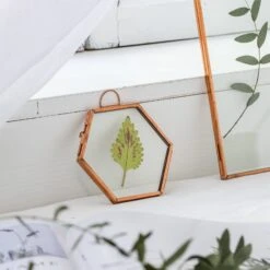 Hanging Small Pink Hexagon Herbarium Copper Glass Frame For Pressed Flowers Dried Flowers -Ncyp Garden Store 20190905012 8