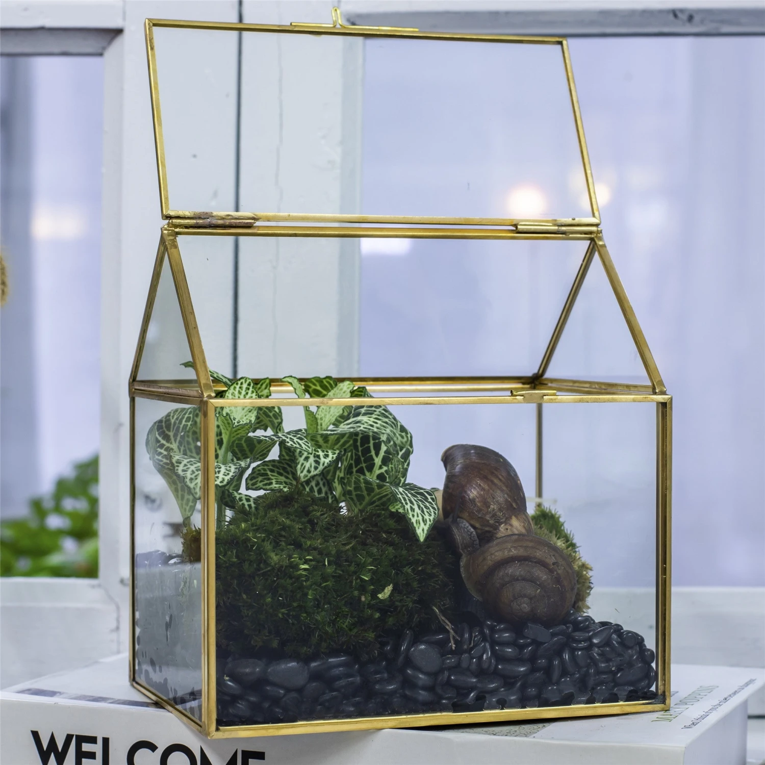 Handmade NCYP Geometric Glass Gold Terrarium Box House Shape, Close, Tabletop, Swing Lid For Air Plants Moss Snail Reptile Habitat 6 Handmade NCYP Geometric Glass Gold Terrarium Box House Shape, Close, Tabletop, Swing Lid For Air Plants Moss Snail Reptile Habitat - Image 4