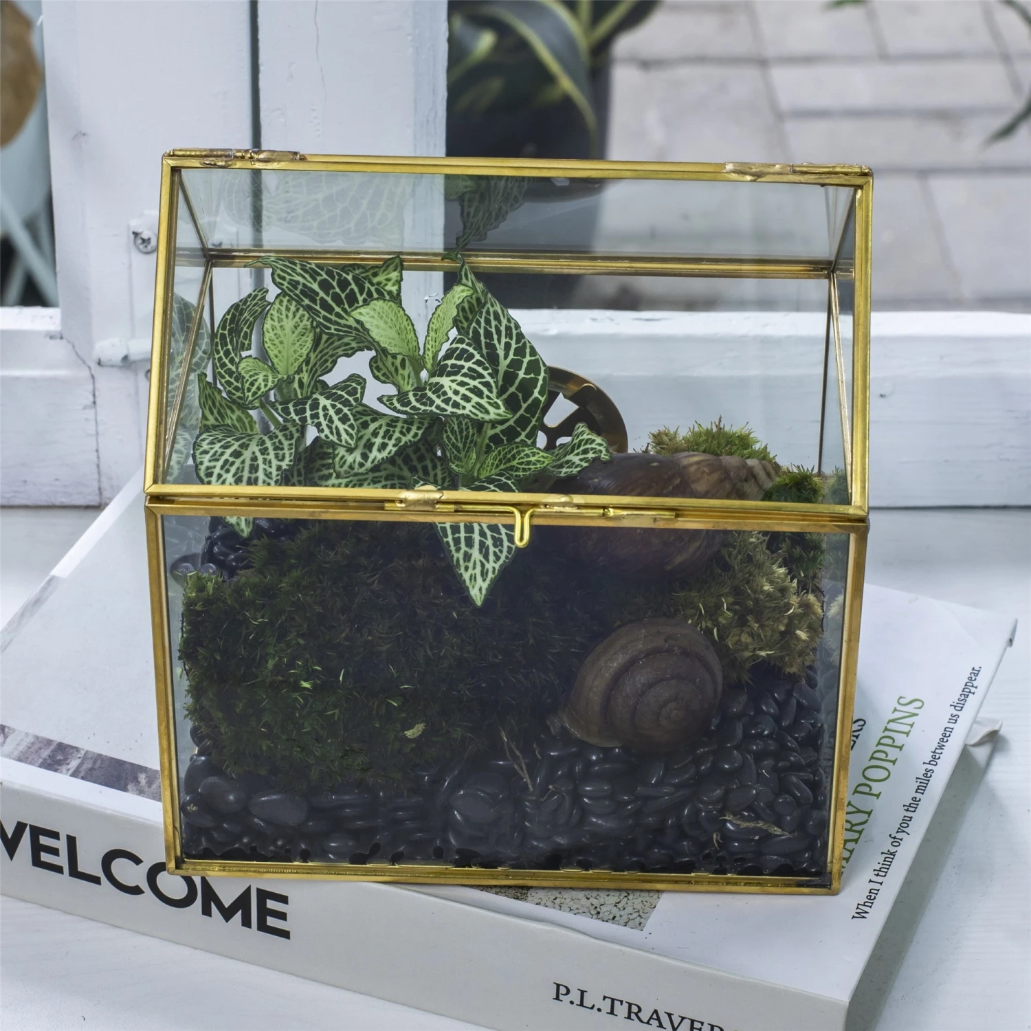 Handmade NCYP Geometric Glass Gold Terrarium Box House Shape, Close, Tabletop, Swing Lid For Air Plants Moss Snail Reptile Habitat 7 Handmade NCYP Geometric Glass Gold Terrarium Box House Shape, Close, Tabletop, Swing Lid For Air Plants Moss Snail Reptile Habitat - Image 5