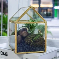 Handmade NCYP Geometric Glass Gold Terrarium Box House Shape, Close, Tabletop, Swing Lid For Air Plants Moss Snail Reptile Habitat 15 Handmade NCYP Geometric Glass Gold Terrarium Box House Shape, Close, Tabletop, Swing Lid For Air Plants Moss Snail Reptile Habitat -Ncyp Garden Store 20190923001 7