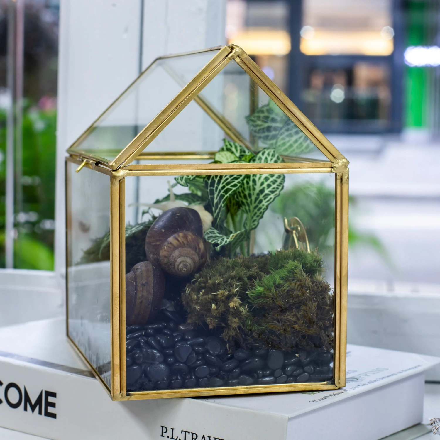 Handmade NCYP Geometric Glass Gold Terrarium Box House Shape, Close, Tabletop, Swing Lid For Air Plants Moss Snail Reptile Habitat 9 Handmade NCYP Geometric Glass Gold Terrarium Box House Shape, Close, Tabletop, Swing Lid For Air Plants Moss Snail Reptile Habitat - Image 7