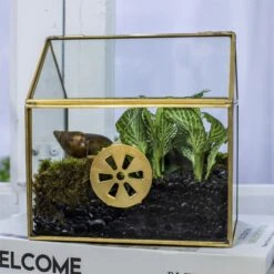 Handmade NCYP Geometric Glass Gold Terrarium Box House Shape, Close, Tabletop, Swing Lid For Air Plants Moss Snail Reptile Habitat 14 Handmade NCYP Geometric Glass Gold Terrarium Box House Shape, Close, Tabletop, Swing Lid For Air Plants Moss Snail Reptile Habitat -Ncyp Garden Store 20190923001 9