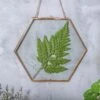 Hanging Hexagon Herbarium Copper Glass Frame For Pressed Flowers Dried Flowers Floating Frame -Ncyp Garden Store 20200409015 5