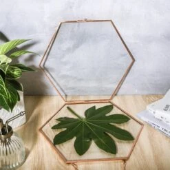Hanging Hexagon Herbarium Copper Glass Frame For Pressed Flowers Dried Flowers Floating Frame -Ncyp Garden Store 20200409016 3