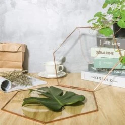 Hanging Hexagon Herbarium Copper Glass Frame For Pressed Flowers Dried Flowers Floating Frame -Ncyp Garden Store 20200409017 1