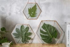 Hanging Hexagon Herbarium Copper Glass Frame For Pressed Flowers Dried Flowers Floating Frame -Ncyp Garden Store 20200409017 3