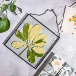 Handmade Black Large Wall Hanging Brass Glass Artwork Certificate Photo Display Floating Frame 16 Handmade Black Large Wall Hanging Brass Glass Artwork Certificate Photo Display Floating Frame -Ncyp Garden Store 20200409024 3