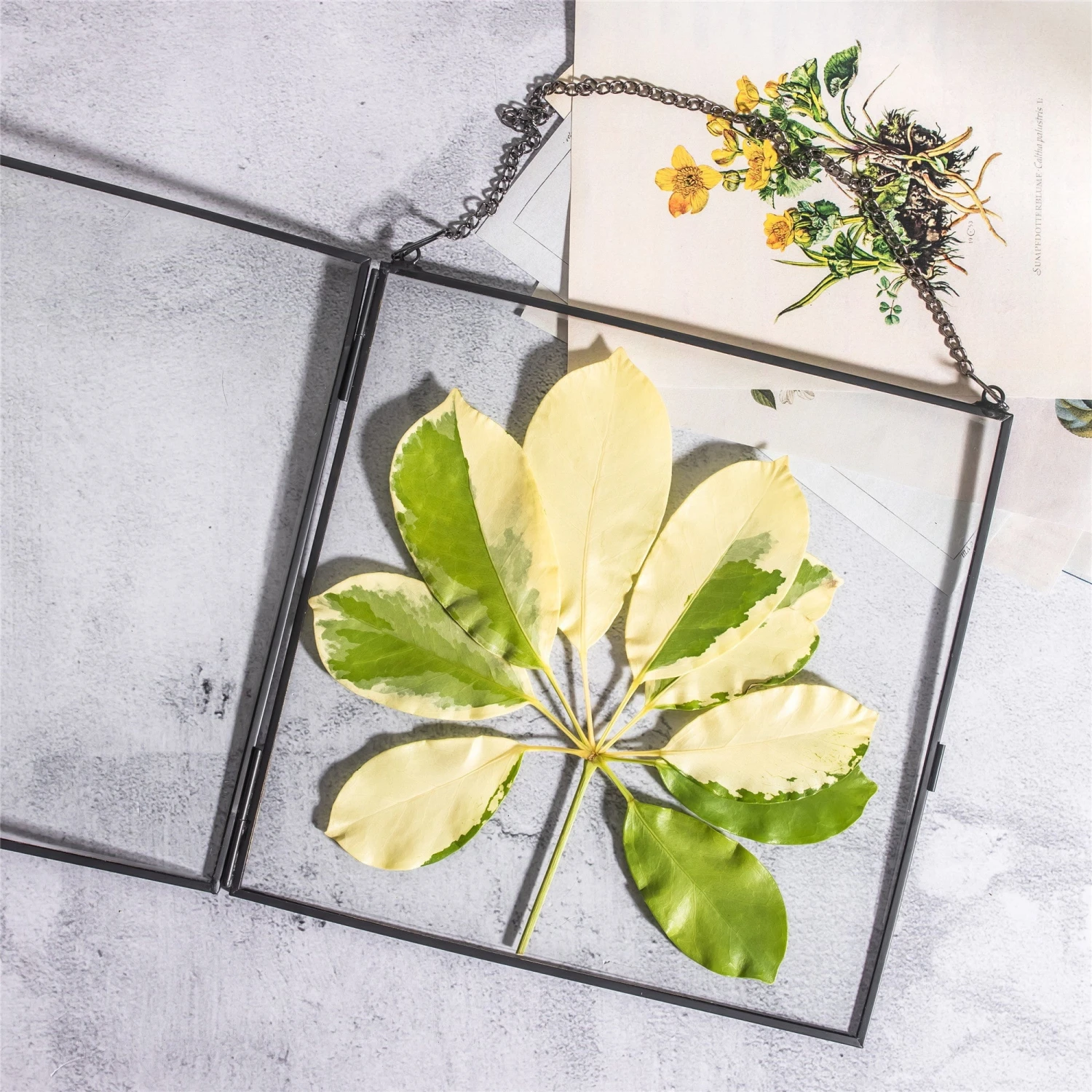 Handmade Black Large Wall Hanging Brass Glass Artwork Certificate Photo Display Floating Frame 6 Handmade Black Large Wall Hanging Brass Glass Artwork Certificate Photo Display Floating Frame - Image 4