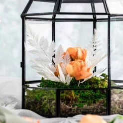 Preserved Pressed Flower Davallia Mariesii, Squirrel's Foot Fern Leaf , Multiple Color, 5 Pcs, 12inches Long, 8inches Width, DIY Material -Ncyp Garden Store 20200518022 2