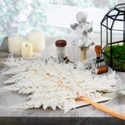 Preserved Pressed Flower Davallia Mariesii, Squirrel's Foot Fern Leaf , Multiple Color, 5 Pcs, 12inches Long, 8inches Width, DIY Material