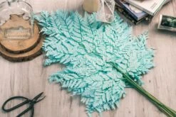 Preserved Pressed Flower Davallia Mariesii, Squirrel's Foot Fern Leaf , Multiple Color, 5 Pcs, 12inches Long, 8inches Width, DIY Material -Ncyp Garden Store 20200518029 2