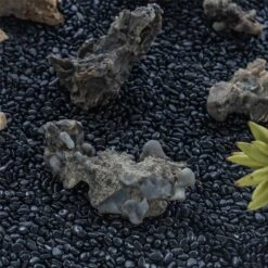 Black Natural Polished Pebbles For Terrarium, Bonsai, Small Planters, Moss, Fern, Succulents -Ncyp Garden Store 2020072800 5