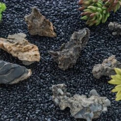 Black Natural Polished Pebbles For Terrarium, Bonsai, Small Planters, Moss, Fern, Succulents -Ncyp Garden Store 2020072800 6