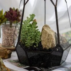 Black Natural Polished Pebbles For Terrarium, Bonsai, Small Planters, Moss, Fern, Succulents -Ncyp Garden Store 2020072800 8