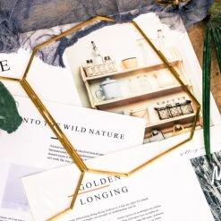 Wall Hanging 8x10" Horizontal Long Octagon Herbarium Brass Double Glass Frame For Pressed Flowers, Dried Flowers, Poster, Floating Frame 13 Wall Hanging 8x10" Horizontal Long Octagon Herbarium Brass Double Glass Frame For Pressed Flowers, Dried Flowers, Poster, Floating Frame -Ncyp Garden Store 20200923001 8x10 3