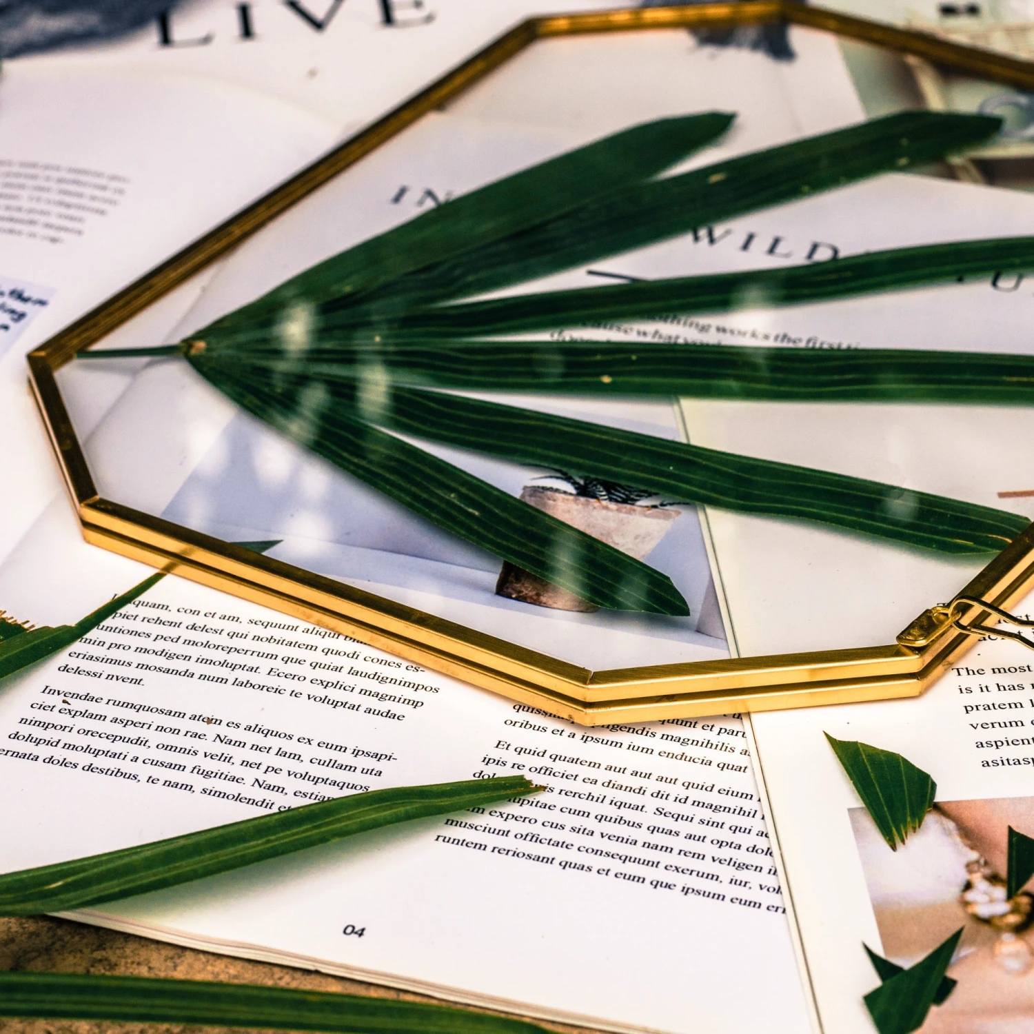 Wall Hanging 8x10" Horizontal Long Octagon Herbarium Brass Double Glass Frame For Pressed Flowers, Dried Flowers, Poster, Floating Frame 9 Wall Hanging 8x10" Horizontal Long Octagon Herbarium Brass Double Glass Frame For Pressed Flowers, Dried Flowers, Poster, Floating Frame - Image 7