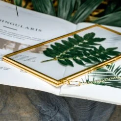 NCYP 4x9" Horizontal Brass Double Glass Picture Frame Wall Hanging, Photo Specimen Card Holder Modern Home Geometric Decor Display Gift -Ncyp Garden Store 20210107001 7