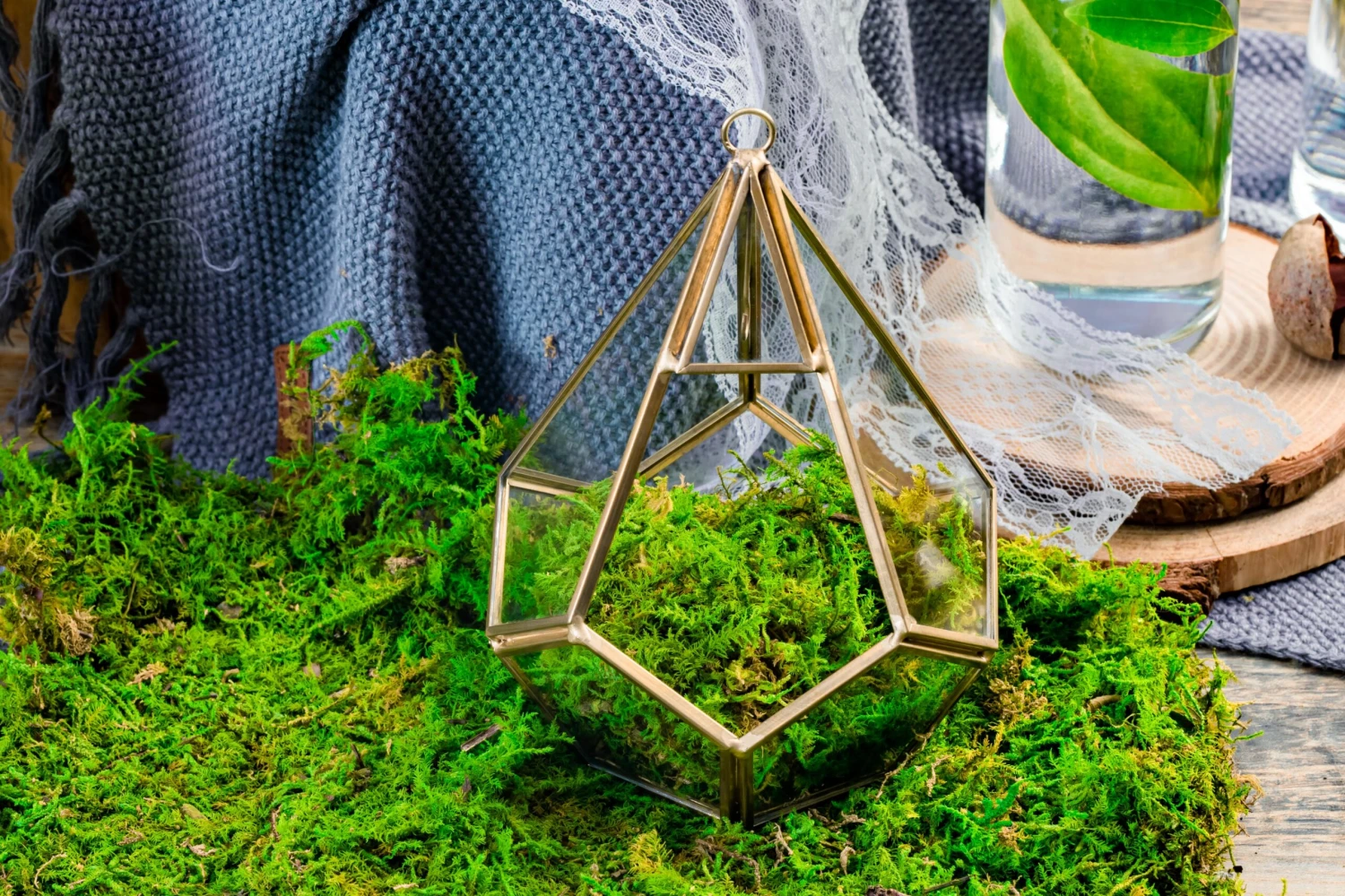 Preserved Feature Like Natural Moss, Fern Moss, Pole Moss Green 20x50cm, For DIY Moss Wall, Moss Terrarium, Moss Centerpiece, Moss Bowl, Centerpiece 7 Preserved Feature Like Natural Moss, Fern Moss, Pole Moss Green 20x50cm, For DIY Moss Wall, Moss Terrarium, Moss Centerpiece, Moss Bowl, Centerpiece - Image 5