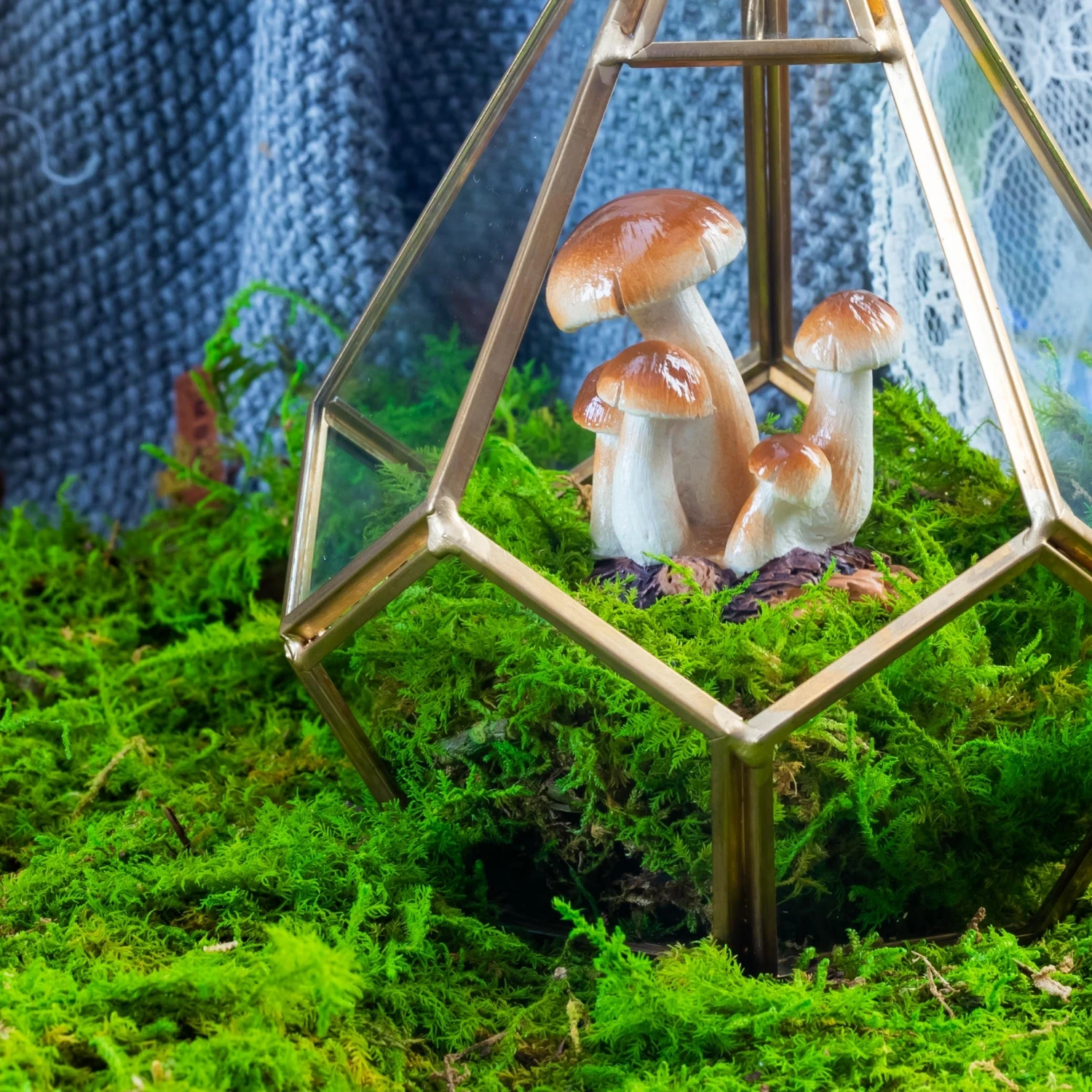 Preserved Feature Like Natural Moss, Fern Moss, Pole Moss Green 20x50cm, For DIY Moss Wall, Moss Terrarium, Moss Centerpiece, Moss Bowl, Centerpiece 5 Preserved Feature Like Natural Moss, Fern Moss, Pole Moss Green 20x50cm, For DIY Moss Wall, Moss Terrarium, Moss Centerpiece, Moss Bowl, Centerpiece - Image 3