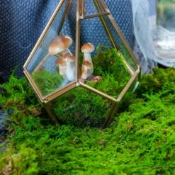 Preserved Feature Like Natural Moss, Fern Moss, Pole Moss Green 20x50cm, For DIY Moss Wall, Moss Terrarium, Moss Centerpiece, Moss Bowl, Centerpiece 10 Preserved Feature Like Natural Moss, Fern Moss, Pole Moss Green 20x50cm, For DIY Moss Wall, Moss Terrarium, Moss Centerpiece, Moss Bowl, Centerpiece -Ncyp Garden Store 20210323006 5