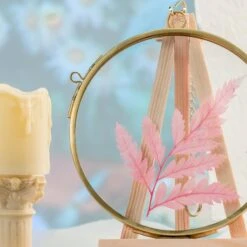 NCYP Wall Hanging Round 5" 4.3" Herbarium Brass Glass Frame For Pressed Flowers, Dried Flowers, Poster, Double Glass, Floating Frame -Ncyp Garden Store 20210522001 3