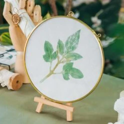 NCYP Wall Hanging Round 8" 10" 12" Herbarium Brass Glass Frame For Pressed Flowers, Poster, Double Glass, Floating Frame