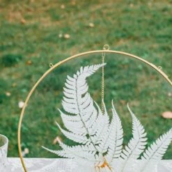 NCYP Wall Hanging Round 8" 10" 12" Herbarium Brass Glass Frame For Pressed Flowers, Poster, Double Glass, Floating Frame 41 NCYP Wall Hanging Round 8" 10" 12" Herbarium Brass Glass Frame For Pressed Flowers, Poster, Double Glass, Floating Frame -Ncyp Garden Store 20210522004 6