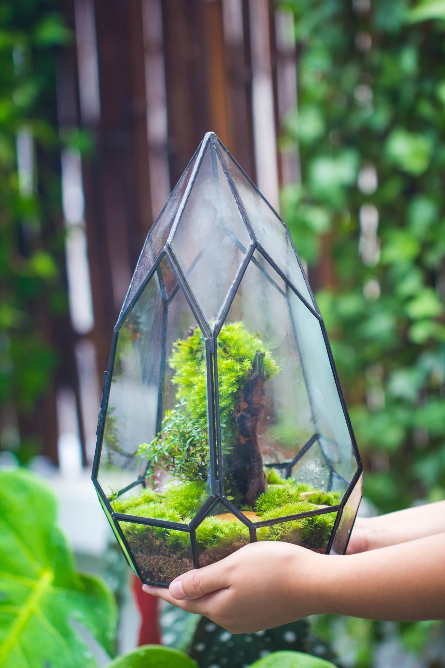 NCYP Irregular Close Geometric Glass Terrarium With Door Tall Teardrop Planter Pot Miniature Moss, Tropical Plants Orchid Container 5 NCYP Irregular Close Geometric Glass Terrarium With Door Tall Teardrop Planter Pot Miniature Moss, Tropical Plants Orchid Container - Image 3