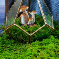 Handmade Hanging Teardrop Shape, Gold, Glass Geomtric Terrarium, Ring Holder Proposal Wedding Ring Box -Ncyp Garden Store 20210812001 5
