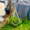Handmade Hanging Teardrop Shape, Gold, Glass Geomtric Terrarium, Ring Holder Proposal Wedding Ring Box