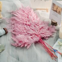 Preserved Pressed Flower Davallia Mariesii, Squirrel's Foot Fern Leaf , Multiple Color, 5 Pcs, 12inches Long, 8inches Width, DIY Material -Ncyp Garden Store 20210820002 4