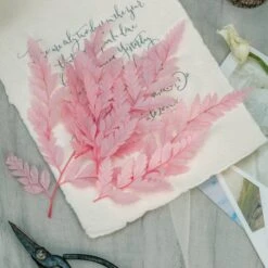 Preserved Pressed Flower Davallia Mariesii, Squirrel's Foot Fern Leaf , Multiple Color, 5 Pcs, 12inches Long, 8inches Width, DIY Material -Ncyp Garden Store 20210820002 8