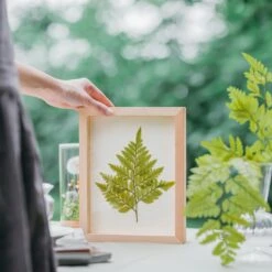 NCYP Handmade Personalized Tabletop Wall Hanging Natural Wood Glass Floating Frame For Photo -Ncyp Garden Store 20210831029 20200518019 11