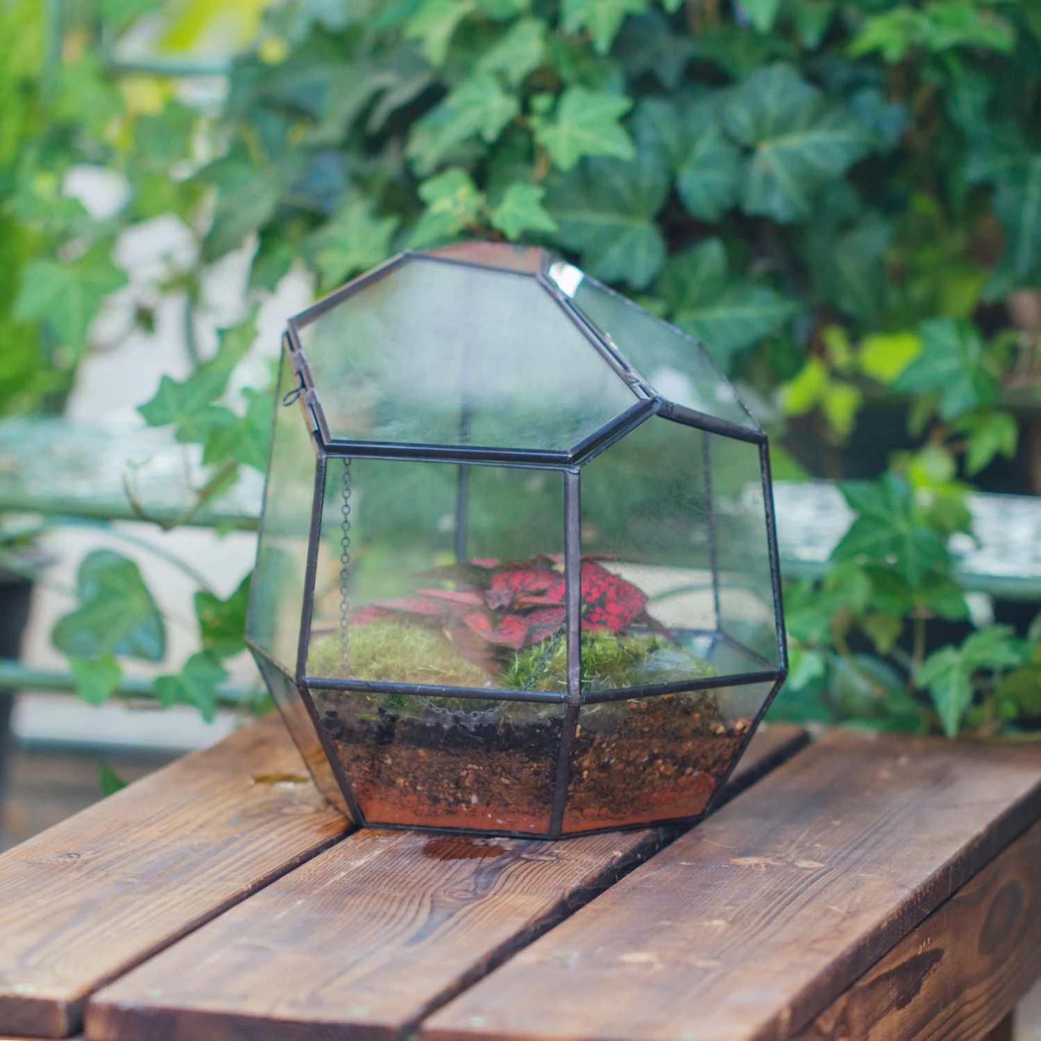 NCYP Small Close Geometric Glass Terrarium With Door, Tin Sealed Irregular Tall Planter For Moss Flower Pot 4 NCYP Small Close Geometric Glass Terrarium With Door, Tin Sealed Irregular Tall Planter For Moss Flower Pot - Image 2