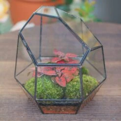 NCYP Small Close Geometric Glass Terrarium With Door, Tin Sealed Irregular Tall Planter For Moss Flower Pot 11 NCYP Small Close Geometric Glass Terrarium With Door, Tin Sealed Irregular Tall Planter For Moss Flower Pot -Ncyp Garden Store 20211215002 6