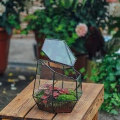 NCYP Small Close Geometric Glass Terrarium With Door, Tin Sealed Irregular Tall Planter For Moss Flower Pot 12 NCYP Small Close Geometric Glass Terrarium With Door, Tin Sealed Irregular Tall Planter For Moss Flower Pot -Ncyp Garden Store 20211215002 9