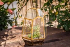 NCYP Close Geometric Glass Terrarium With Door, Brass, Irregular Tall Planter Succulent Cacti Fern Flower Pot -Ncyp Garden Store 20211215003 2