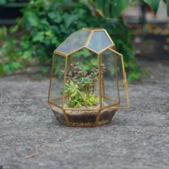 NCYP Close Geometric Glass Terrarium With Door, Brass, Irregular Tall Planter Succulent Cacti Fern Flower Pot -Ncyp Garden Store 20211215003 5