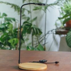 NCYP Customizable Tabletop Natural Wood Round Board LED Grow Display Light Indoor 10W For Terrarium Succulent Fern Bonsai Moss -30cm