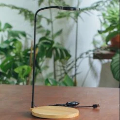 NCYP Customizable Tabletop Natural Wood Round Board LED Grow Display Light Indoor 10W For Terrarium Succulent Fern Bonsai Moss -40cm