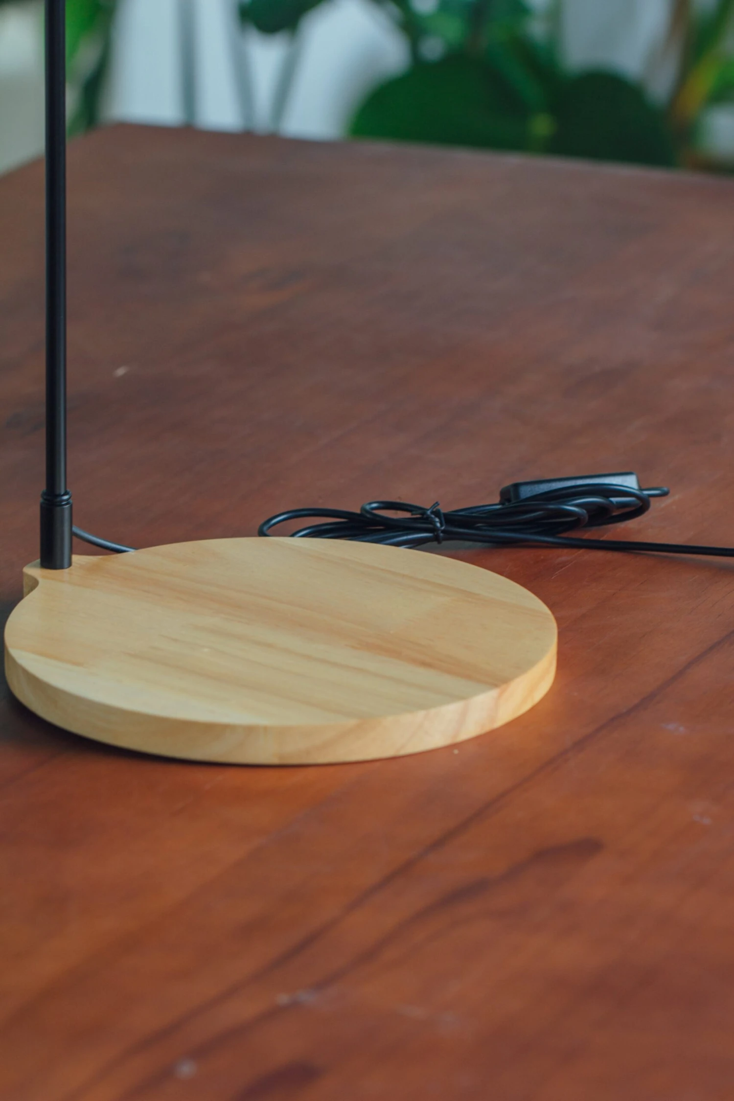 NCYP Customizable Tabletop Natural Wood Round Board LED Grow Display Light Indoor 10W For Terrarium Succulent Fern Bonsai Moss -35cm 6 NCYP Customizable Tabletop Natural Wood Round Board LED Grow Display Light Indoor 10W For Terrarium Succulent Fern Bonsai Moss -35cm - Image 4