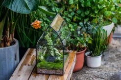 Handmade Unique Closed Terrarium With Arched Roof | HouseShape Closed Planter For Tropical Plants, Moss | Miniature Greenhouse Gift -Ncyp Garden Store 20220607004 15 00df7b43 5179 496c 9878 18db6b182be3