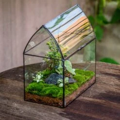 Handmade Unique Closed Terrarium With Arched Roof | HouseShape Closed Planter For Tropical Plants, Moss | Miniature Greenhouse Gift -Ncyp Garden Store 20220607004 2