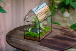 Handmade Unique Closed Terrarium With Arched Roof | HouseShape Closed Planter For Tropical Plants, Moss | Miniature Greenhouse Gift -Ncyp Garden Store 20220607004 2 84514ecf 9c0a 4793 aacc 5ef59706cb9f