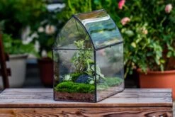 Handmade Unique Closed Terrarium With Arched Roof | HouseShape Closed Planter For Tropical Plants, Moss | Miniature Greenhouse Gift -Ncyp Garden Store 20220607004 5 d711b16b 3418 4c59 9506 b04e257f015f