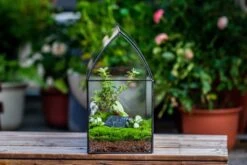 Handmade Unique Closed Terrarium With Arched Roof | HouseShape Closed Planter For Tropical Plants, Moss | Miniature Greenhouse Gift -Ncyp Garden Store 20220607004 6 02b1f451 c7e9 4569 8290 c55aeebc074c