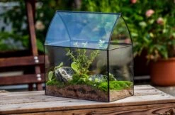 Handmade Unique Closed Terrarium With Arched Roof | HouseShape Closed Planter For Tropical Plants, Moss | Miniature Greenhouse Gift -Ncyp Garden Store 20220607004 7 9150c74d a478 41a9 b939 6cb9d8e498d0